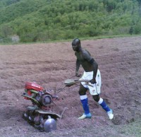 /album/balotelli-meme/a12-jpg/