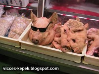 /album/fenykepgaleria/a14-jpg1/