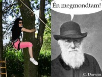 /album/fenykepgaleria/a19-jpg/