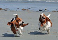 /album/fenykepgaleria/a25-jpg/