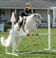 /album/fenykepgaleria/a23-jpg/