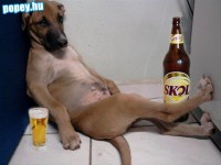 /album/fenykepgaleria/a24-jpg/